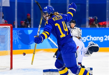 Swedes sign off with win